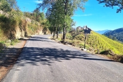 Upgradation-of-road-from-Chendang-Saddle-Noklak-Road-Phase-I-under-NESIDS-Roads-1